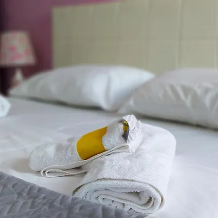 Penthouse Of Downtown *