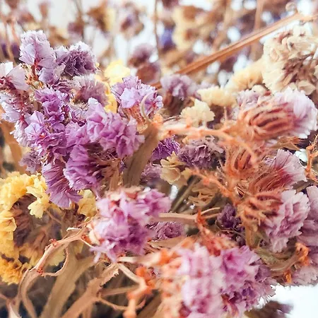 Lägenhet Penthouse Of Downtown *