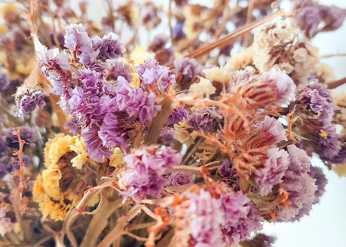 Lägenhet Penthouse Of Downtown *